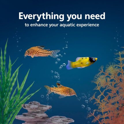 10-Gallon Aquarium Kit - Image 2