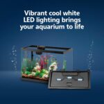 10-Gallon Aquarium Kit - Image 4