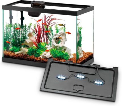10-Gallon Aquarium Kit