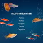 10-Gallon Aquarium Kit - Image 7
