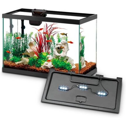 Aqueon 10 Gallon LED Fish Tank