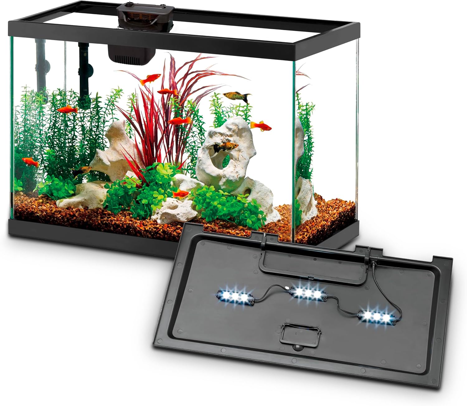 10-Gallon Aquarium Kit 10-Gallon Aquarium Kit