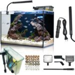 10-Gallon Glass Aquarium