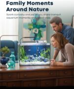 10-Gallon Glass Aquarium - Image 4