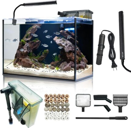 10-Gallon Glass Aquarium