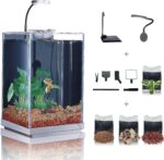 10-Gallon Glass Aquarium - Image 8