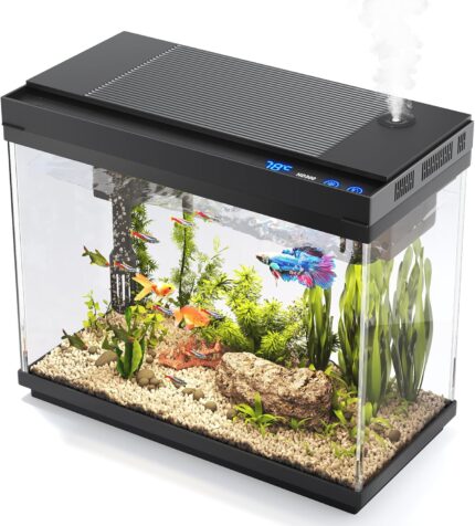 2.4 Gallon Fish Tank