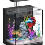 2-Gallon Aquarium Kit