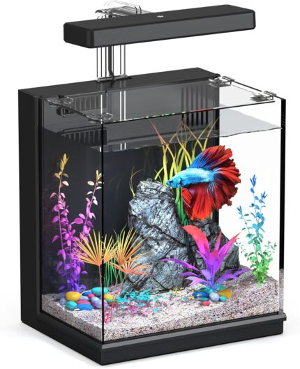 2-Gallon Aquarium Kit