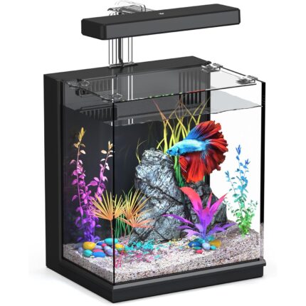 Compact Betta Fish Tank