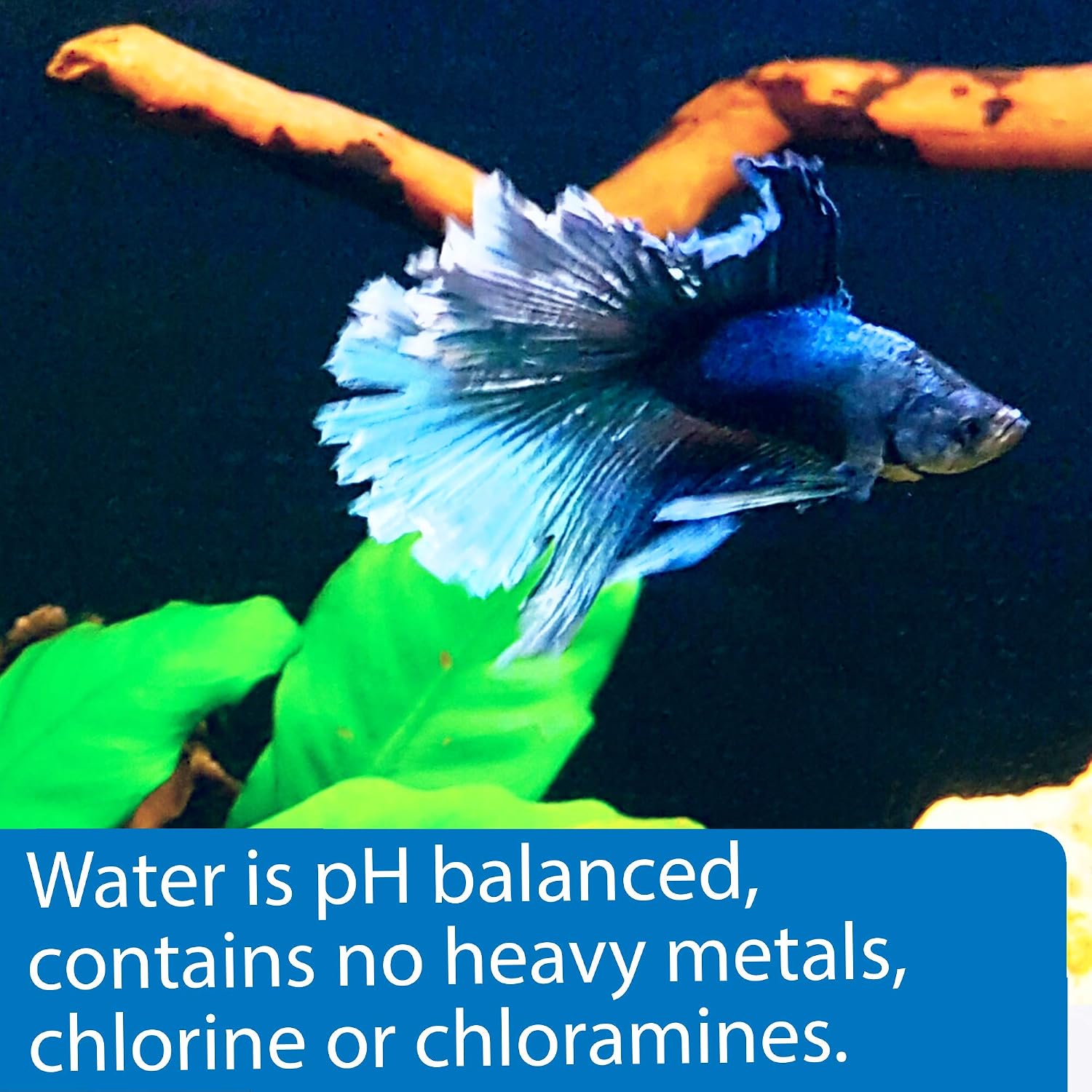 API Betta Water Pre-Conditioned - Hình 2