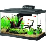 Aqueon 10 Gallon Aquarium Kit - Hình 10