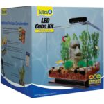 Tetra 3 Gallon LED Cube Aquarium Kit - Hình 2