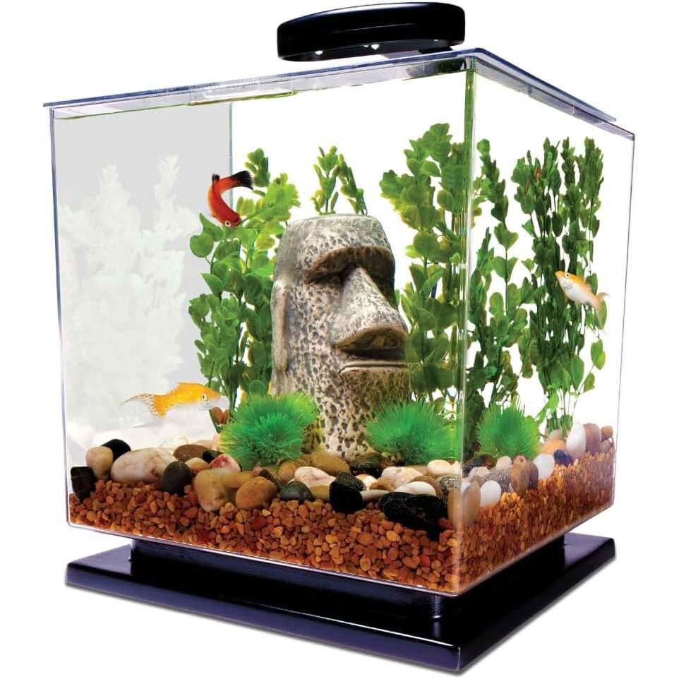Tetra 3 Gallon Fish Tank, Aquarium Starter Kit with Pedestal Base, LED Light and Filter, For small tropical fish, guppies, goldfish, or betta Tetra 3 Gallon LED Cube Aquarium Kit