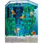 Tetra 3 Gallon LED Cube Aquarium Kit - Hình 12