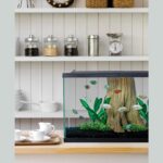 Clear Glass 20 Gallon Long Aquarium - Hình 6