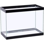 Clear Glass 20 Gallon Long Aquarium - Hình 11