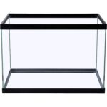Clear Glass 20 Gallon Long Aquarium - Hình 9