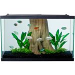 Clear Glass 20 Gallon Long Aquarium