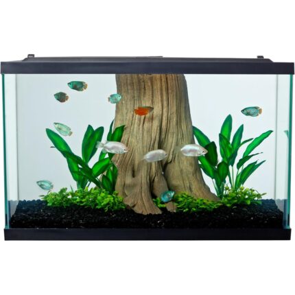 Clear Glass 20 Gallon Long Aquarium