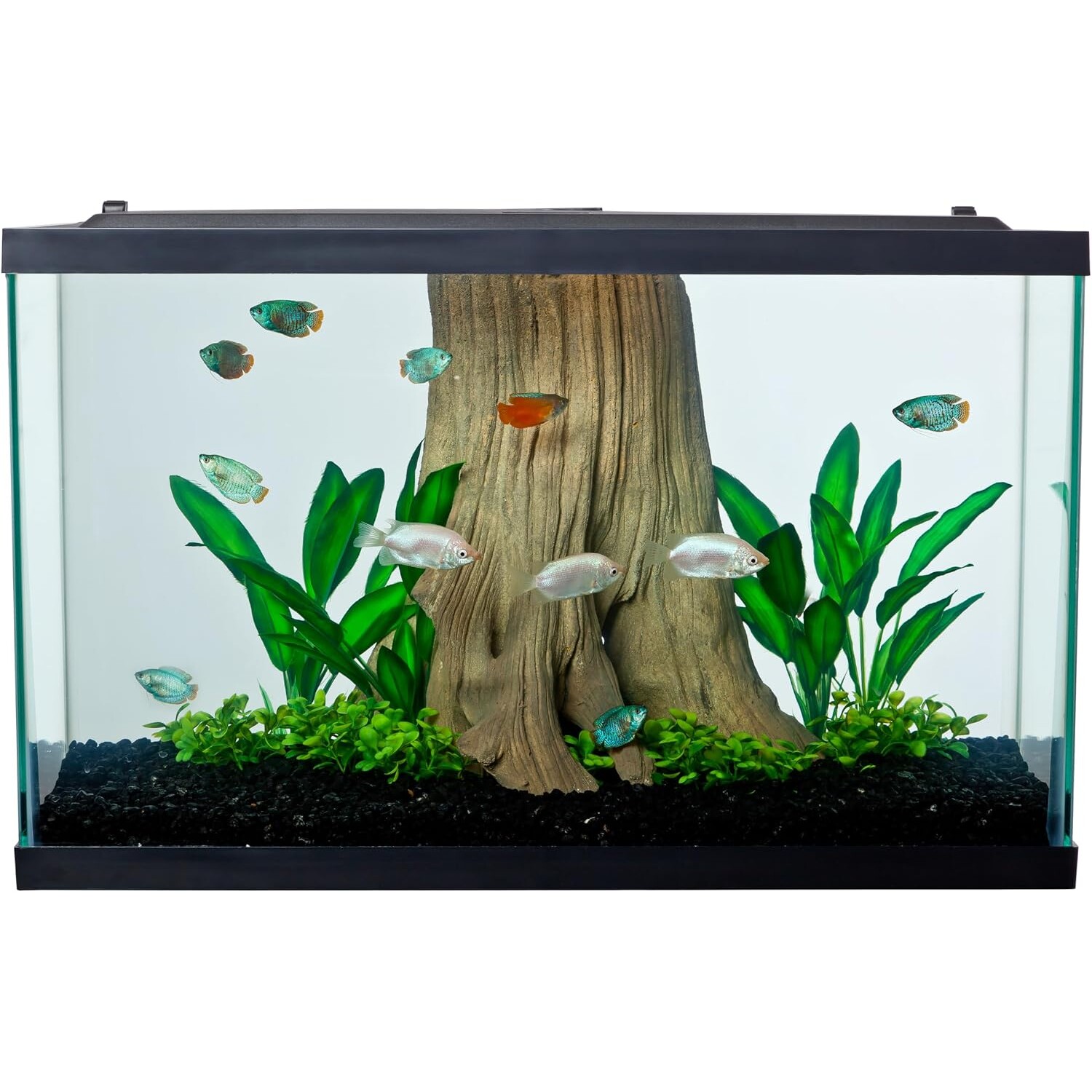 Tetra Glass Aquarium 29 Gallons, Rectangular Fish Tank Clear Glass 20 Gallon Long Aquarium