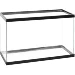 Clear Glass 20 Gallon Long Aquarium - Hình 5