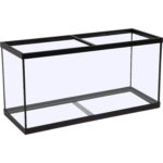Clear Glass 20 Gallon Long Aquarium - Hình 10