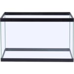 Clear Glass 20 Gallon Long Aquarium - Hình 3