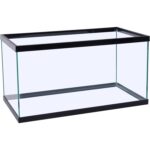 Clear Glass 20 Gallon Long Aquarium - Hình 4